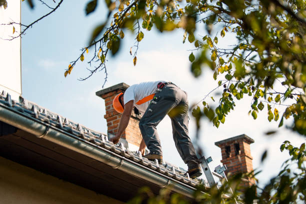 Quick and Trustworthy Emergency Roof Repair Services in Olla, LA