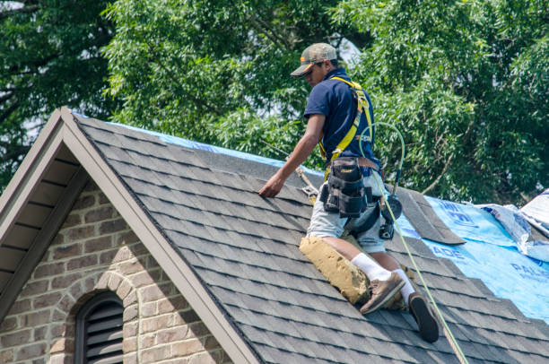 Best Roof Gutter Cleaning  in Ol, LA